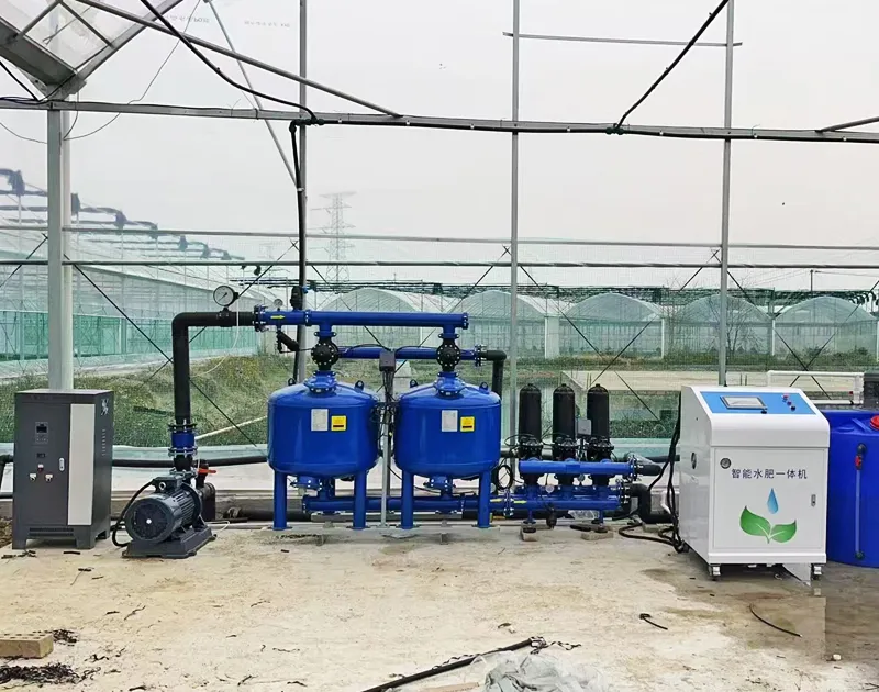 Proyecto de cultivo de tomate de China Gansu