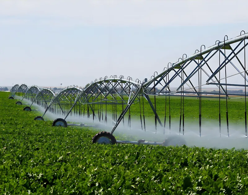 Irrigation Filter Manufacturer